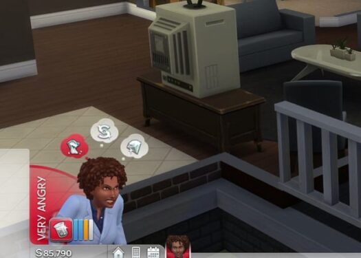 methods to get sims angry
