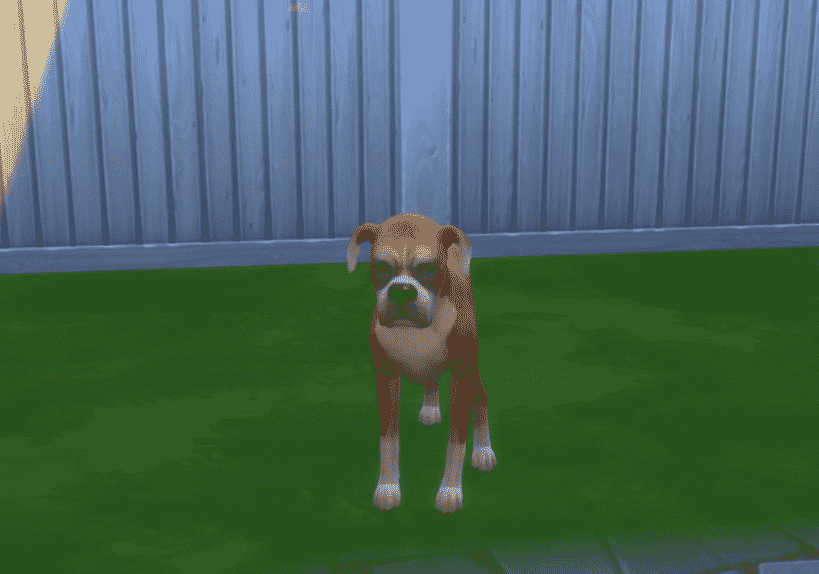The Sims 4: How can pets die?