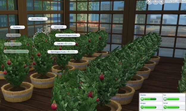 how to plant seeds the sims 4