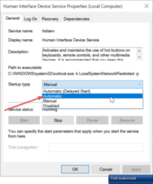 HID service startup type