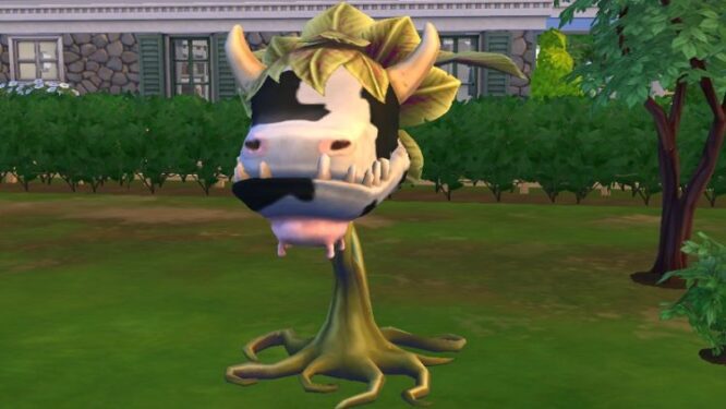 sims 4 look after cowplant