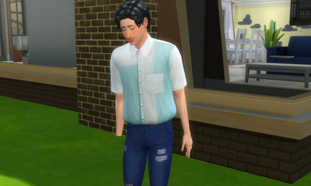 fix invisible part of a mesh sims 4