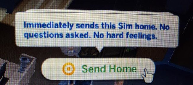 sims 4 send home option