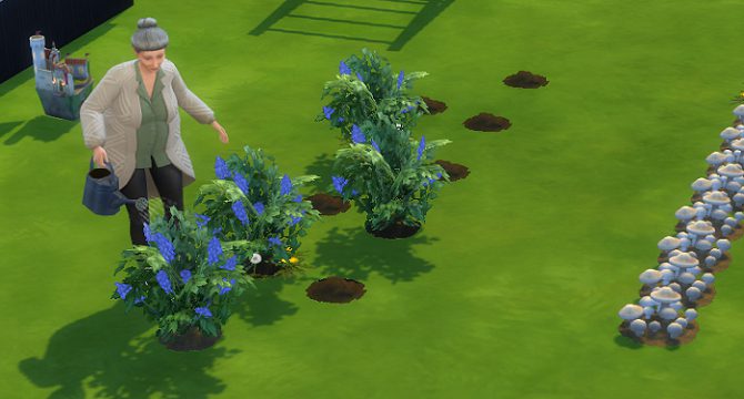 the sims 4 no option to harvest lily plant