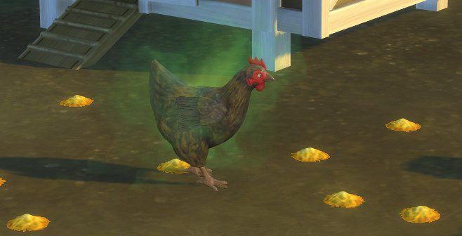 sims-4-cottage-living-clean-chickens