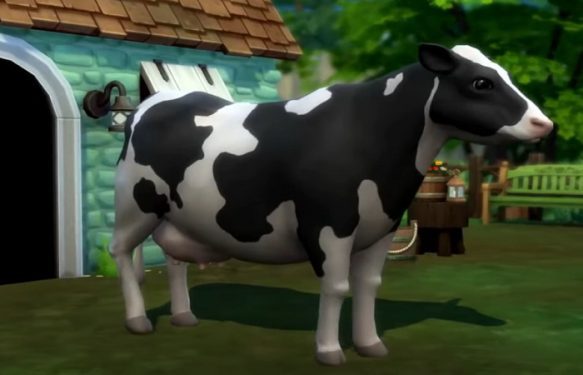 sims-4-cottage-living-cow-milk