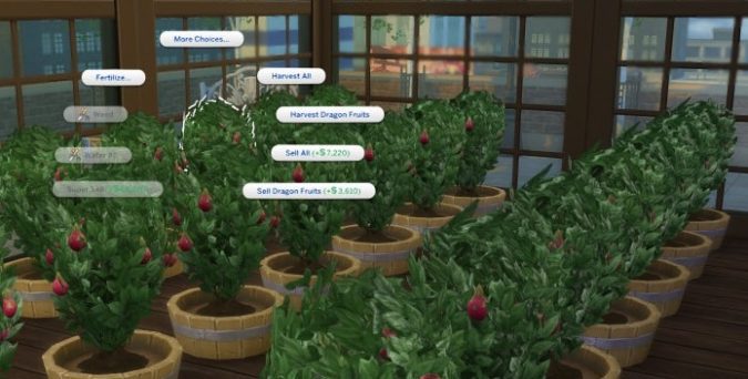 highest-paying-plant-in-Sims-4