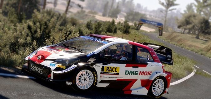 WRC-game-bugs