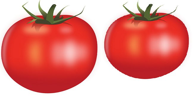 find-tomatoes-sims-4