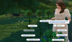 What plants can you graft together in Sims 4?