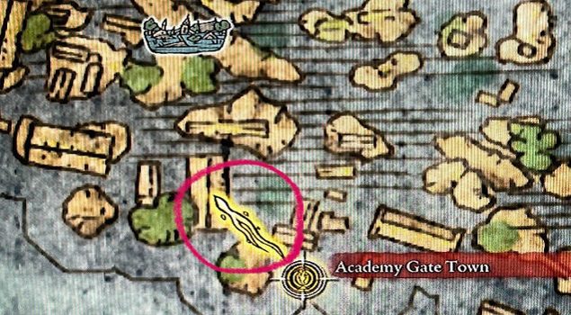 elden ring purpose of yellow lines on map