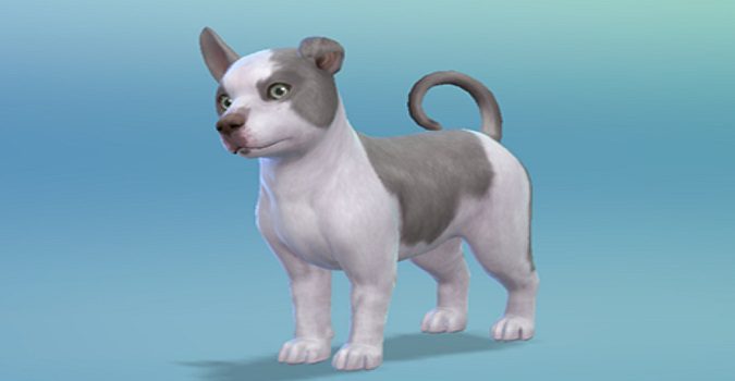 Sims-4-cats-and-dogs-genetics