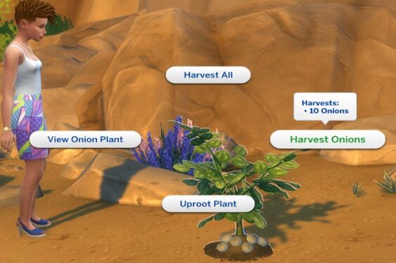 Harvest-onions-Oasis-Springs-Sims-4
