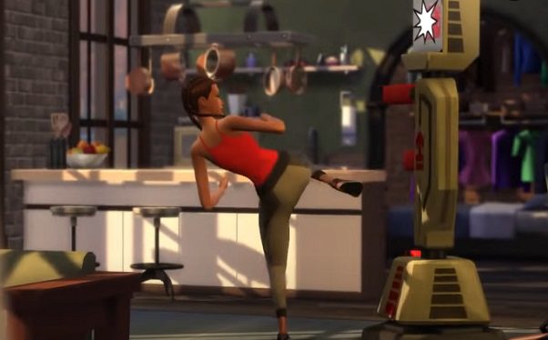 Sim-sparring-at-the-fitness-machine-Sims