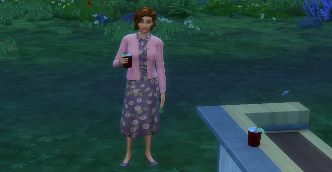 Sims-4-make-a-toast