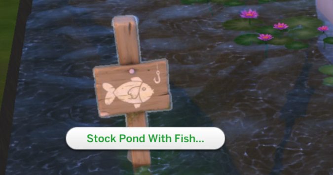 Sims-4-stock-pond-with-fish