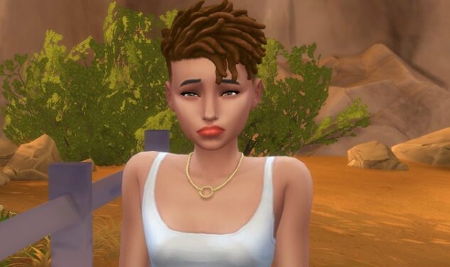 Sims-4-worst-lot-traits