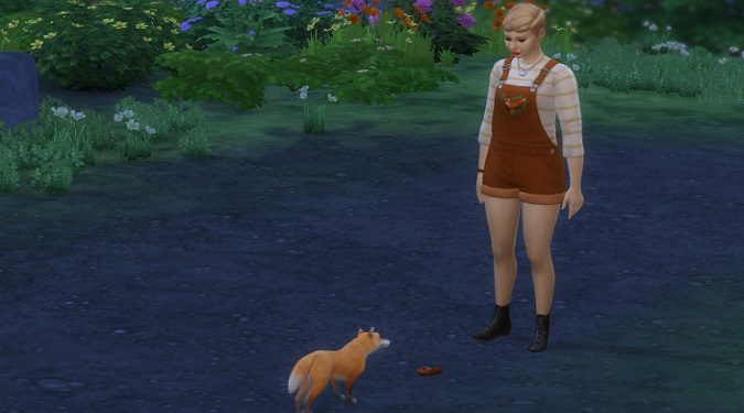 What To Do When Your Pet Runs Away In The Sims 4