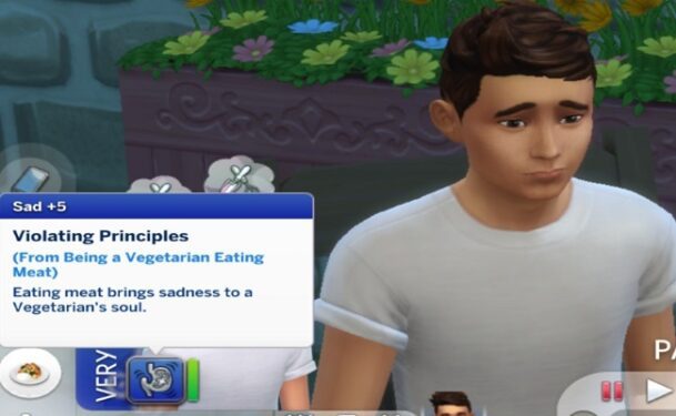 Sims-4-Violating-Principles-vegetarian-Sim