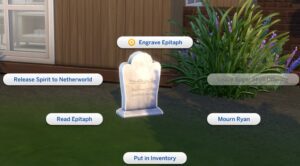 how to get rid of ghost pet in sims 4