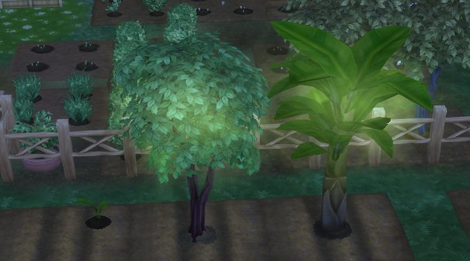 Sims-4-trees-glowing