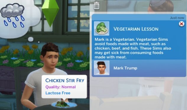 Sims-4-vegetarian-lesson