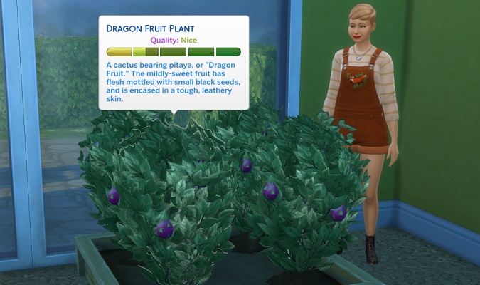 The-Sims-4-Dragon-Fruit-Plant