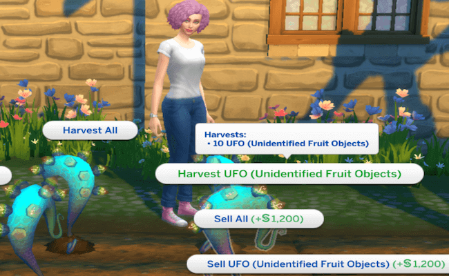 The-Sims-4-sell-UFO-fruit