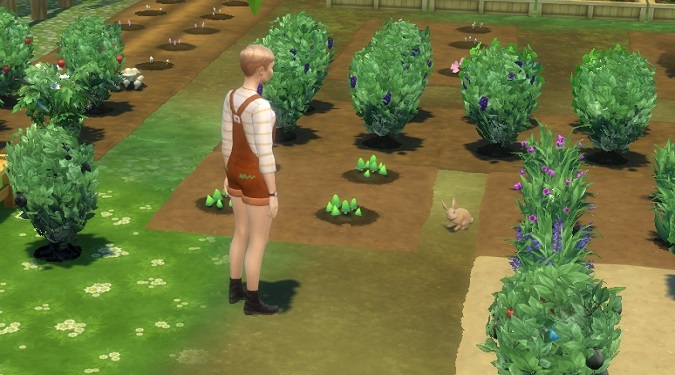 sims 4 can't find plants