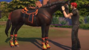 change horse gender sims 4