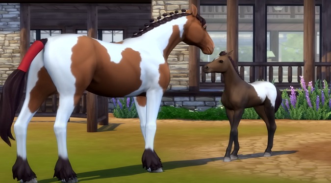 The-Sims-4-horse-breeding