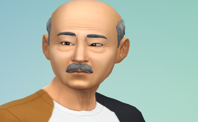 Add-Grandparents-Sims-4