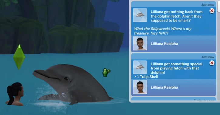 Sims-4-use-dolphins-to-find-buried-treasures.