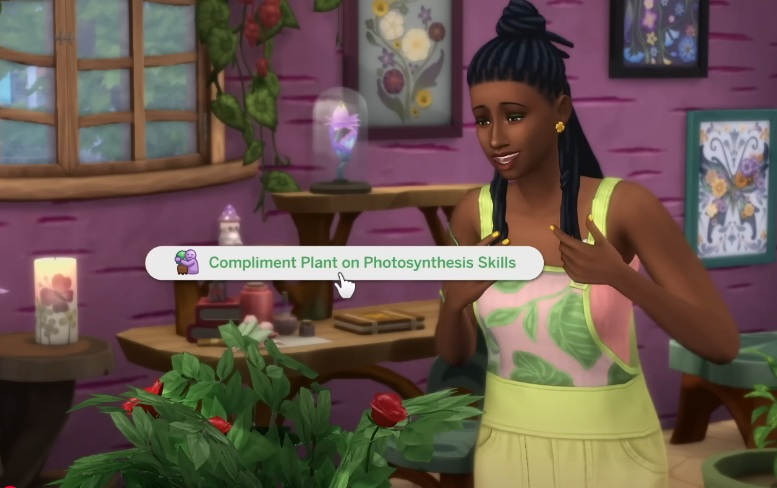sims 4 compliment houseplants